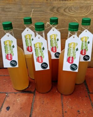 pressed apple juice mixed box of 6